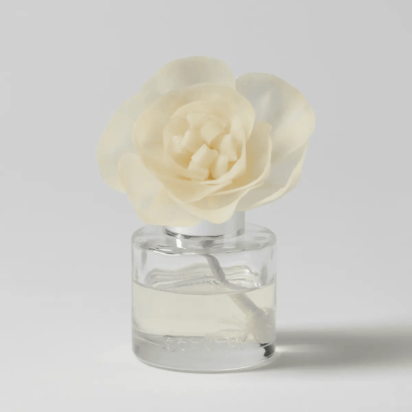 Cream-coloured rose bloom with layered petals and a white collar, seated in a clear glass vial of liquid with a grey stem, the Go, Go, Mango - Buttercup Belle Fragrance Flower