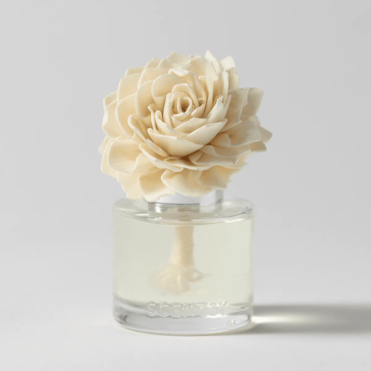 Aloe Water & Cucumber - Dahlia Darling Fragrance Flower - Image 2