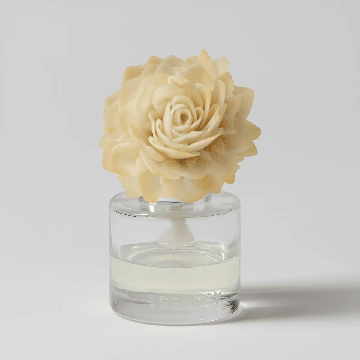 Aloe Water & Cucumber - Dahlia Darling Fragrance Flower