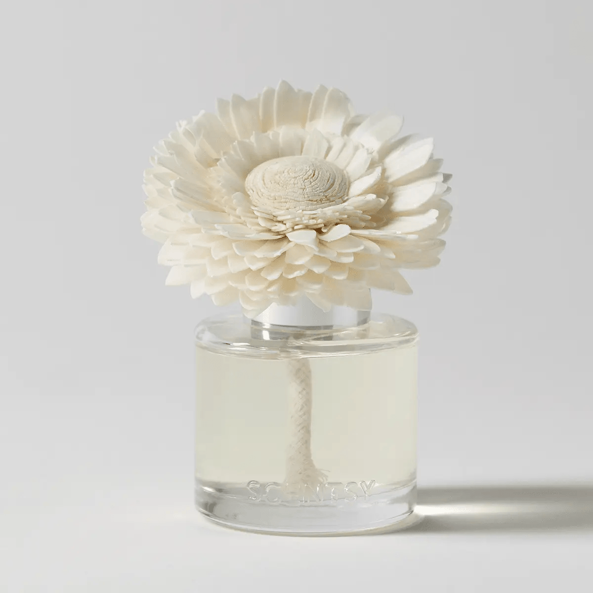Dainty Daisy Fragrance Flower