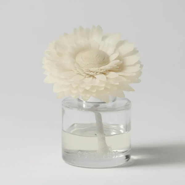 Dainty Daisy Fragrance Flower
