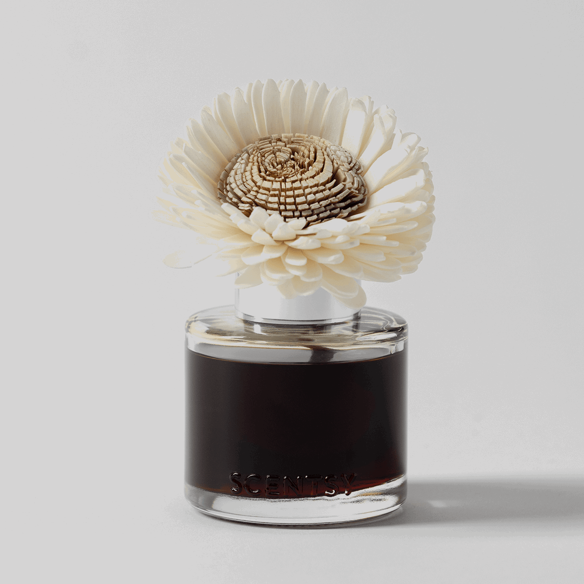 Pumpkin Oak - Stunning Sunflower Fragrance Flower