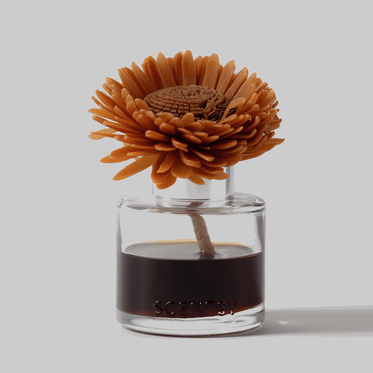 Pumpkin Oak - Stunning Sunflower Fragrance Flower