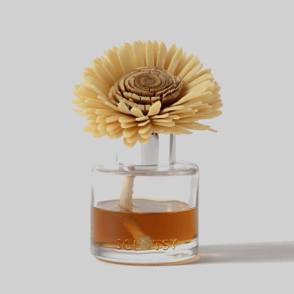 Sandalwood & Vanilla Pumpkin - Stunning Sunflower Fragrance Flower