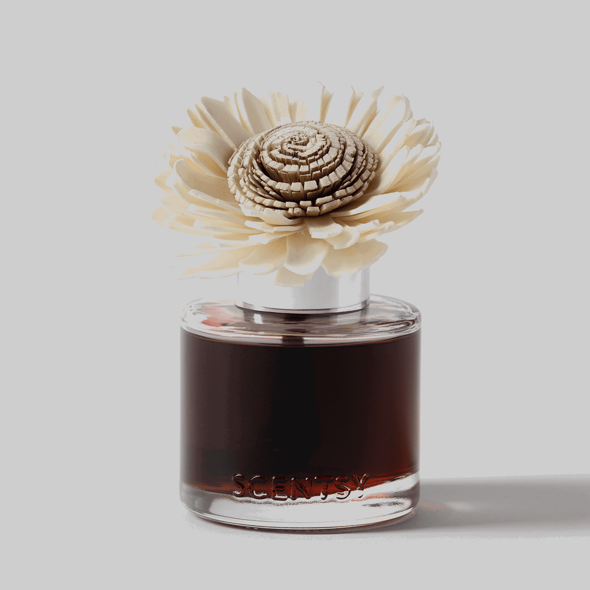 Wild Cherry Fire - Stunning Sunflower Fragrance Flower