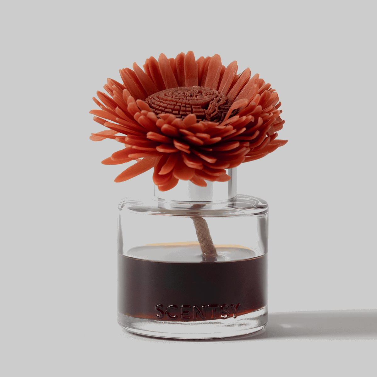 Wild Cherry Fire - Stunning Sunflower Fragrance Flower