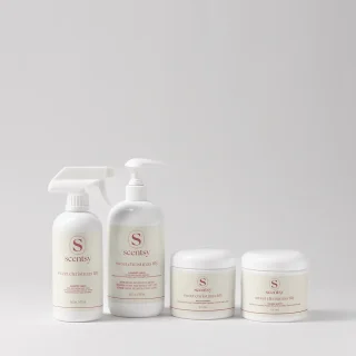 Four white Scentsy laundry products in the Sweet Christmas Lily fragrance, the Holiday Laundry Bundle