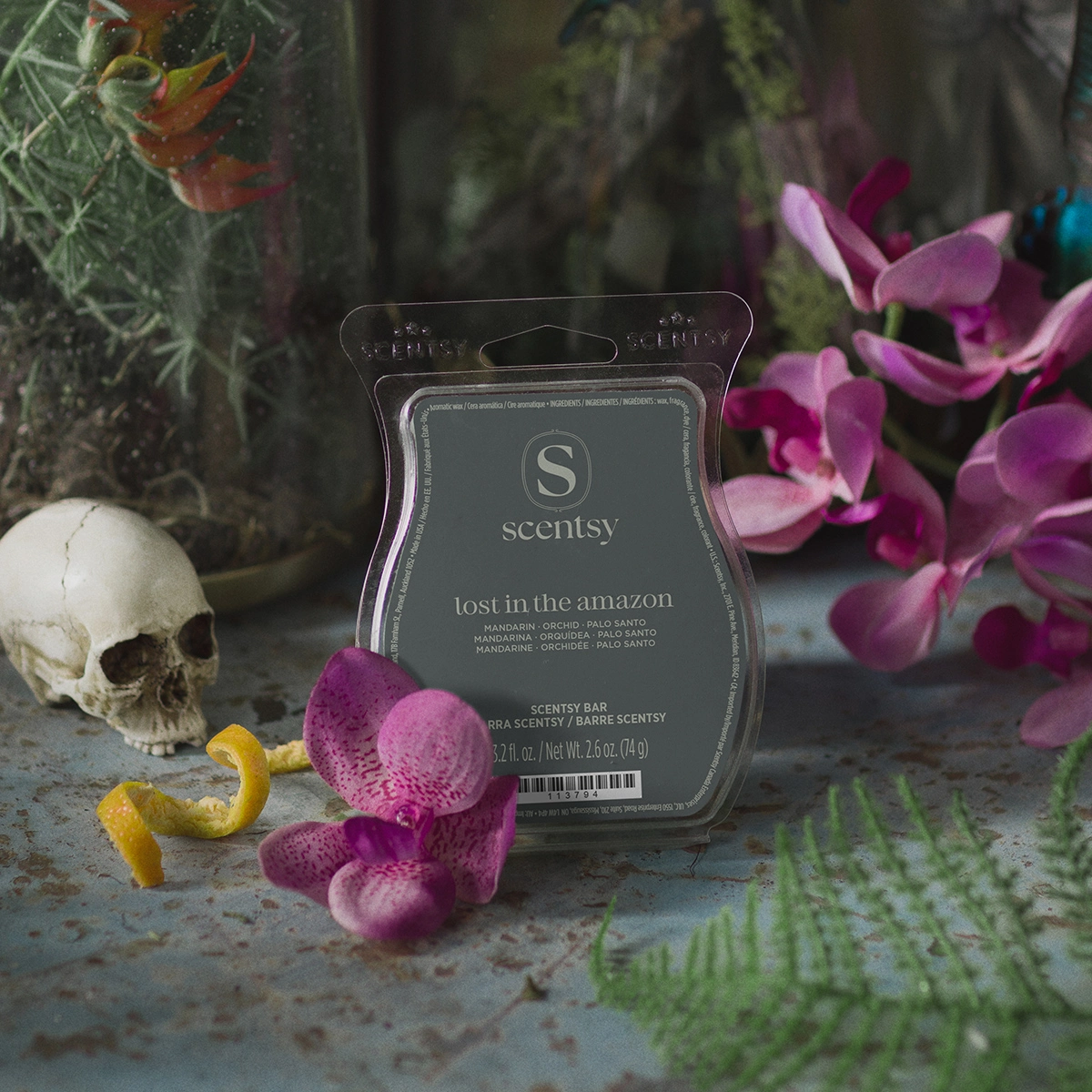 Dark grey Scentsy Bar package labelled "Lost in the Amazon" surrounded by magenta orchid blooms, a decorative skull, and moss in a moody botanical setting