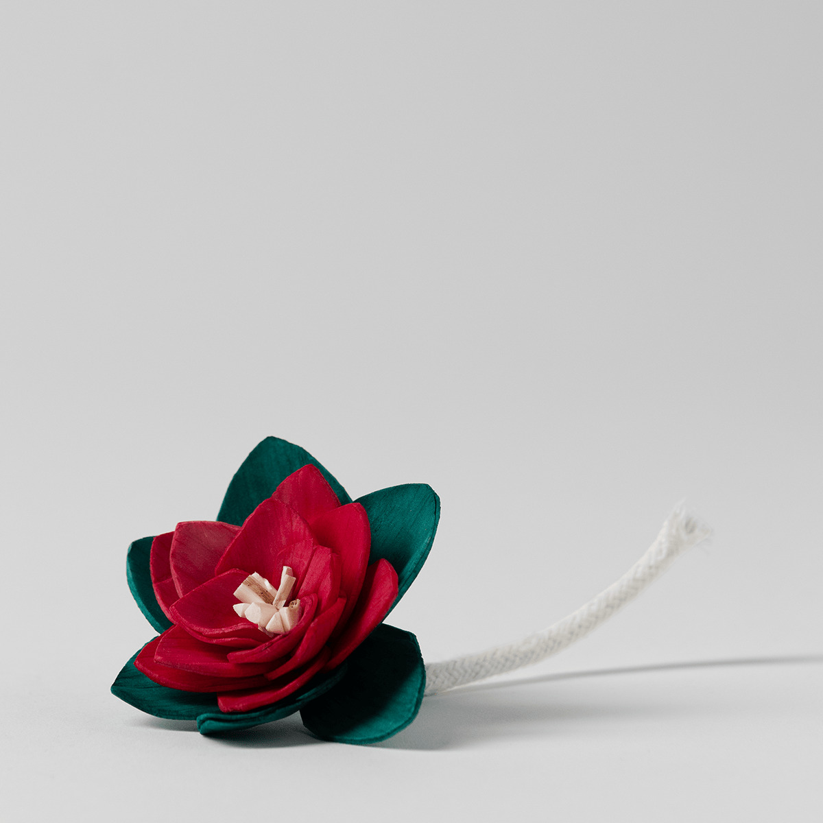 Red poinsettia flower with dark teal petals and cream centre, attached to a white cord, the Mistletoe Mint - Radiant Red Poinsettia Fragrance Flower