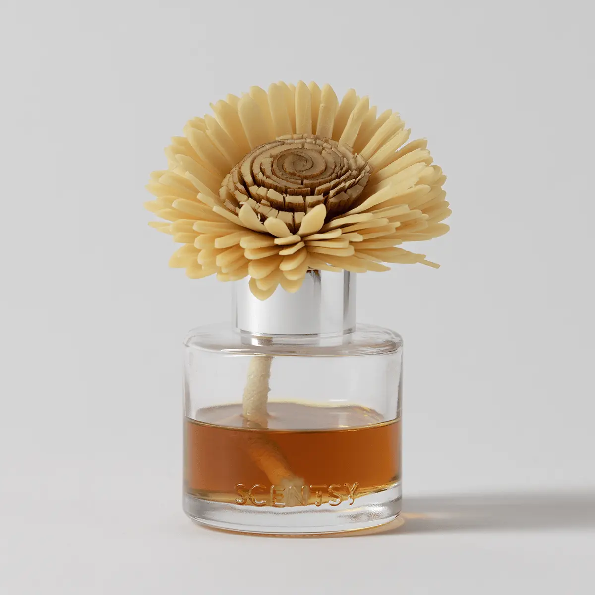 Sandalwood & Vanilla Pumpkin - Stunning Sunflower Fragrance Flower - Cream-coloured gerbera daisy with layered petals and a textured spiral centre, seated in a clear glass bottle filled with amber fragrance oil, the Sandalwood & Vanilla Pumpkin - Stunning Sunflower Fragrance Flower