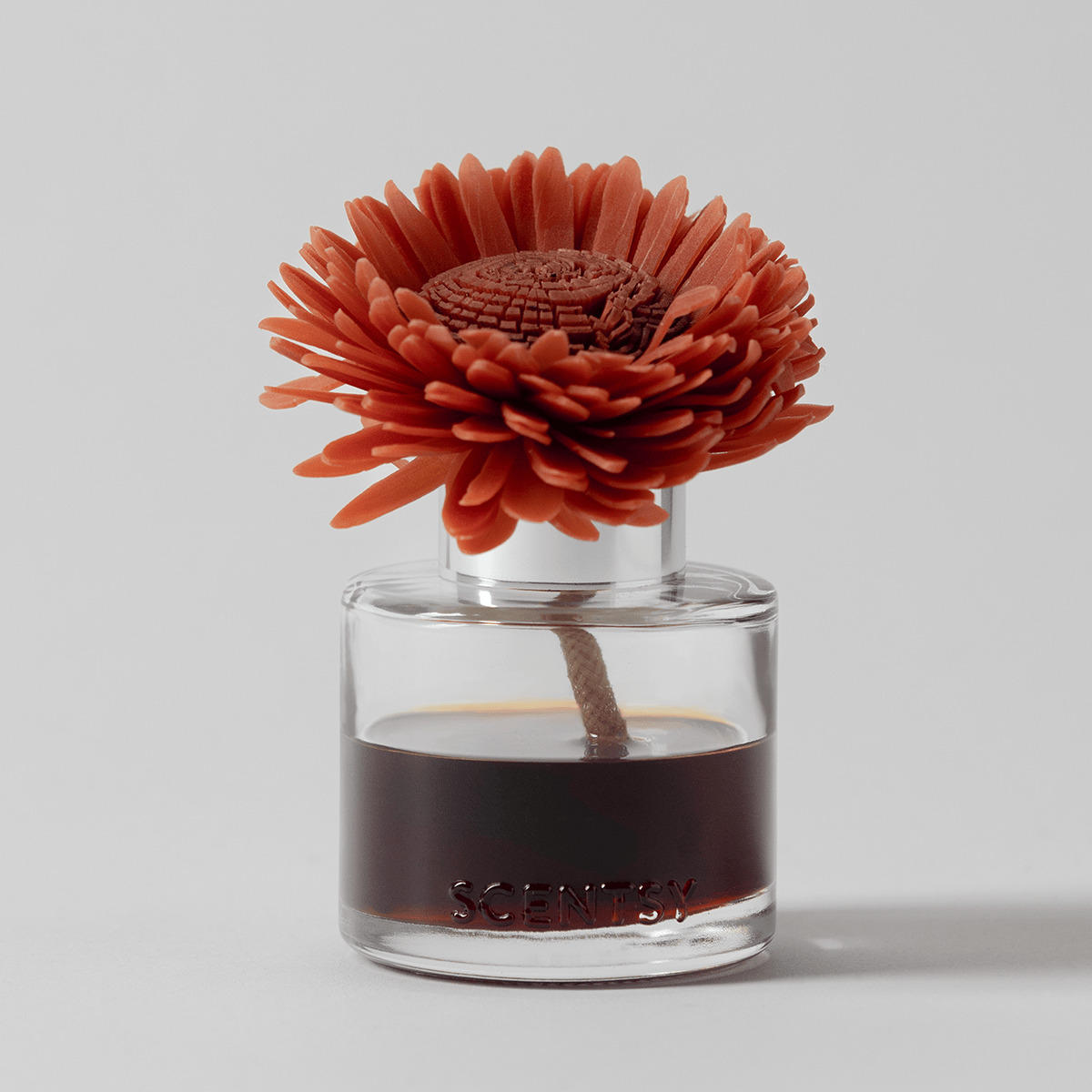 Coral-red gerbera-style flower with layered petals in a clear glass vial filled with dark liquid and a brown stem, the Wild Cherry Fire - Stunning Sunflower Fragrance Flower