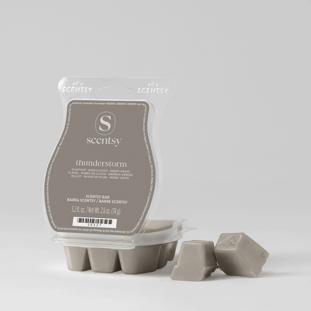 Thunderstorm Scentsy Bar - open