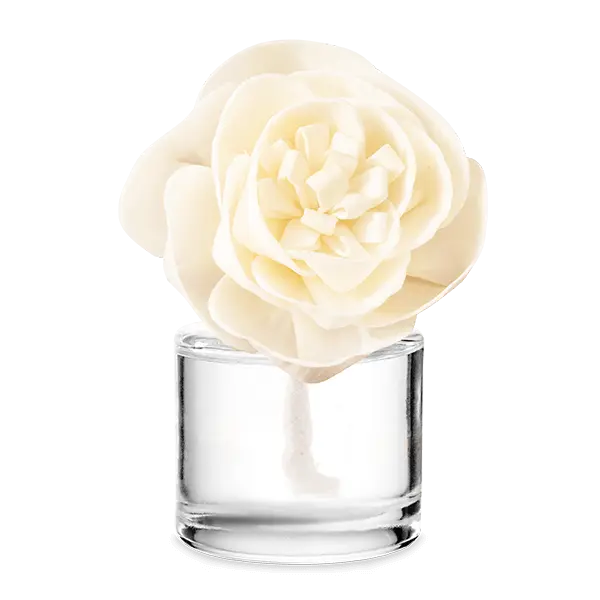 Holiday Market - Buttercup Belle Fragrance Flower