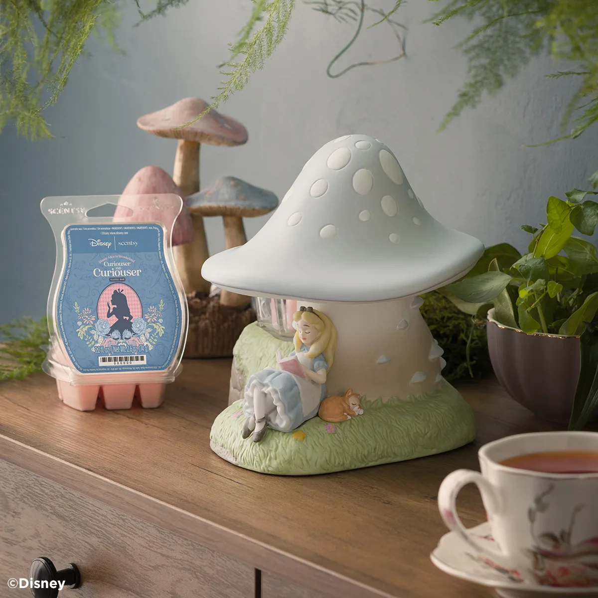 Disney Alice in Wonderland Scentsy collection: the Down the Rabbit Hole warmer, Cheshire Cat Buddy and Curiouser and Curiouser bar
